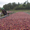 Gatare Natural - Nyamasheke