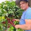 Hertson Bernal 220H Anaerobic Natural - Guadalupe, Huila