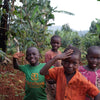 Dison Kareng Anaerobic Natural - Kapchorwa