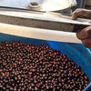 Ayla Shantawene Natural Anaerobic - Sidamo