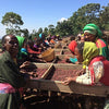 Bekele Fega Natural - Konga, Gedeo, Yirgachefe