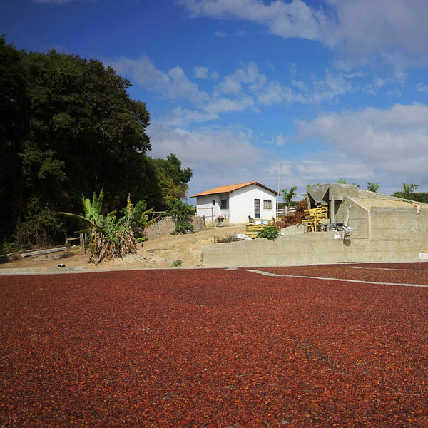 Fazenda Cetec Naturale Lotto #3, Campo das Vertentes