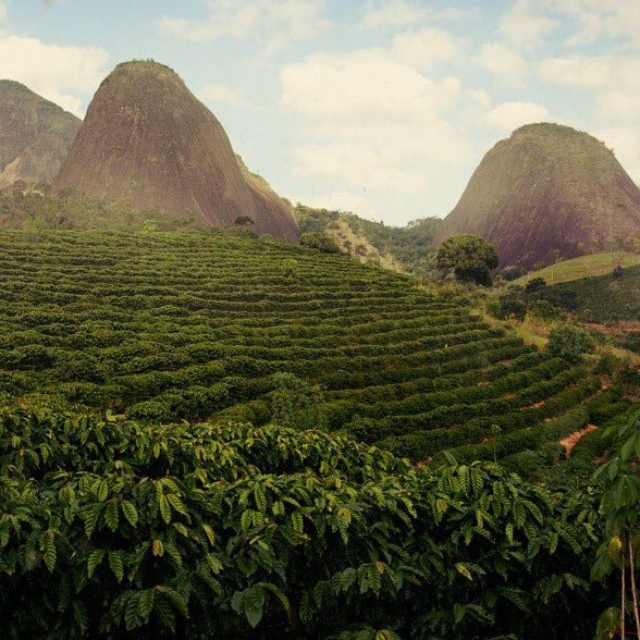Fazenda Rancho Grande Natural - Sul de Minas