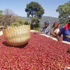 Buku Sayisa Natural Lot #2 - Hambela, Guji