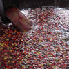 La Claudina Nanolotto Sperimentale Anaerobico Cascara - Ciduad Bolívar, Antioquia