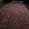 🎄 Naughty or Nice? 🎄 Finca Cordillera del Fuego Anaerobic ☃️ Christmas Coffee Special