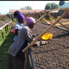 Dison Kareng Anaerobic Natural - Kapchorwa