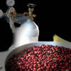 Don Benji Geisha Natural Carbonic Maceration 7, Fatimita Lot - Boquete