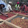 Egu Abaya Natural Lot #1, Guji