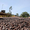Egu Abaya Natural Lot #1, Guji