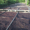 Finca Guadalupe naturale - Santa Ana