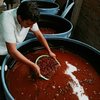 Finca El Diviso Sidra Natural Anaerobic 180H - Huila