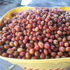 Finca El Rubì Papayo Honey - Huila