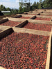 Boji Kochere *Natural* Grado 1, Kore - Yirgacheffe