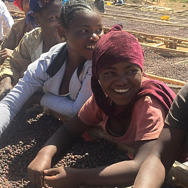 Boji Kochere *Natural* Grado 1, Kore - Yirgacheffe