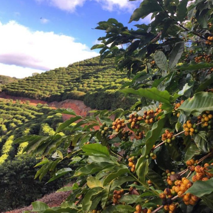Fazenda Do Salto Natural Lot #3 - Sul De Minas