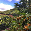 Fazenda Do Salto Natural Lot #3 - Sul De Minas