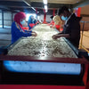 Frinsa Collective, Lotto #A Lactic Fermentation - Weninggalih