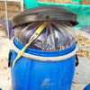 Frinsa Collective, Lotto #A Lactic Fermentation - Weninggalih