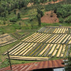 Gatare Natural - Nyamasheke
