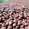 Goraa Smallholders Anaerobic Natural - Guji