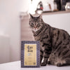 Coffee and Jesse - Finca Hartman Maragogype Carbonic Maceration