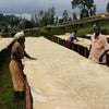 AA Kagumoini #072 - Nyeri