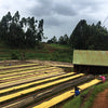 AA Gatomboya Lotto #113 Competition, Nyeri