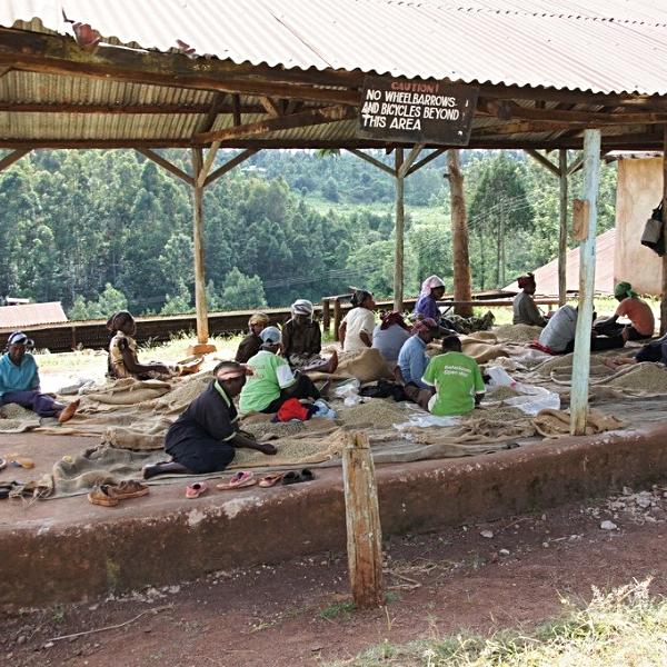 AB Karimikui Lotto #140, Kirinyaga