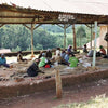AB Karimikui Lotto #140, Kirinyaga