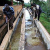 AB Karimikui Lotto #140, Kirinyaga