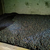 Finca La Cumbre Natural, controlled drying - Huila