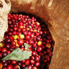 Finca La Cumbre Natural, controlled drying - Huila