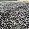 Finca San Carlos Dos, # 7 - Macerato 90h Naturale – Morazán