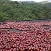 Sehe Ntamba #2 Naturale - Bukinyanana