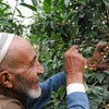 Beni Al Nahamie Anaerobic Natural – Haraz